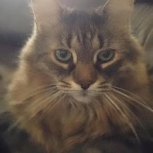 Meet your Posher, Tammy